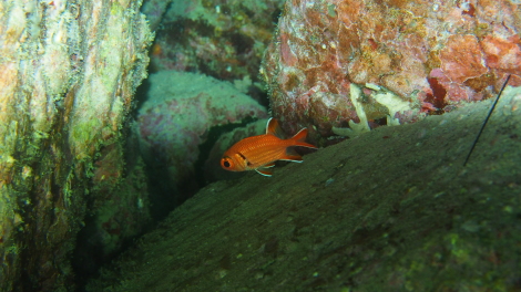 e0115199_20285602.jpg