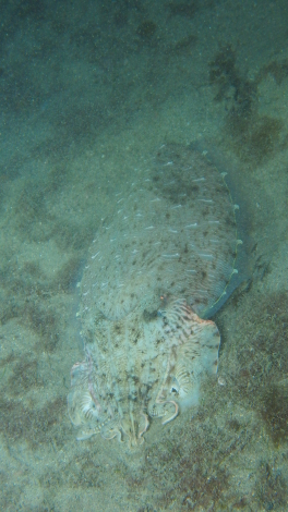 e0115199_21162659.jpg