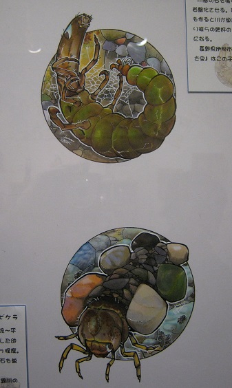 たまごの工房企画展 第4回 - mozo mozo - 虫・蟲 展 その7_e0134502_13043773.jpg