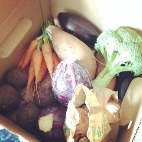 Organic veg boxとピクルス。_a0215008_23443339.jpg