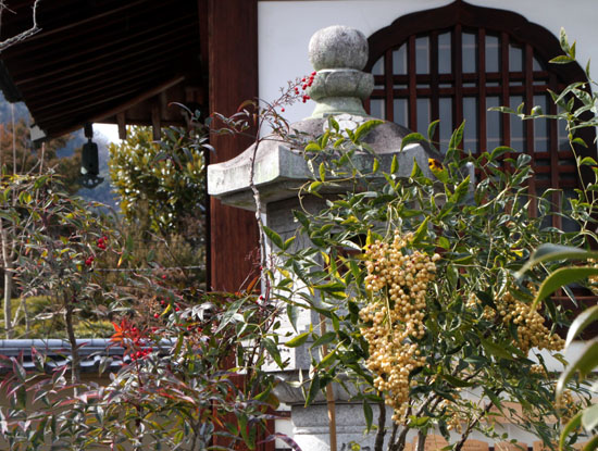 弘源寺_e0048413_20203225.jpg