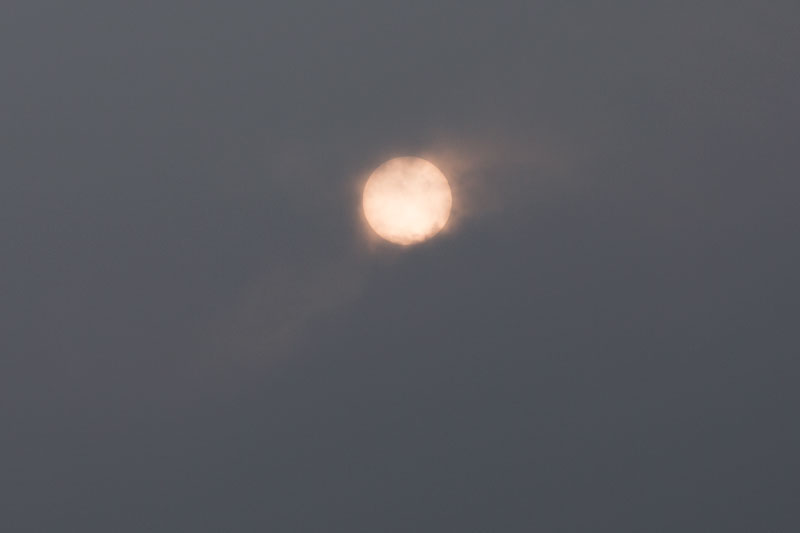 a0278914_10132596.jpg
