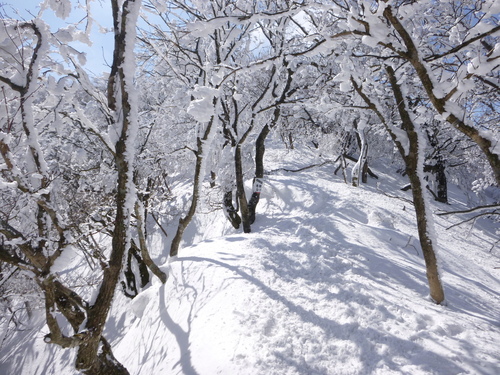 樹氷の美しい　　綿向山 (1,110M) 　　山頂 編_d0170615_15442568.jpg