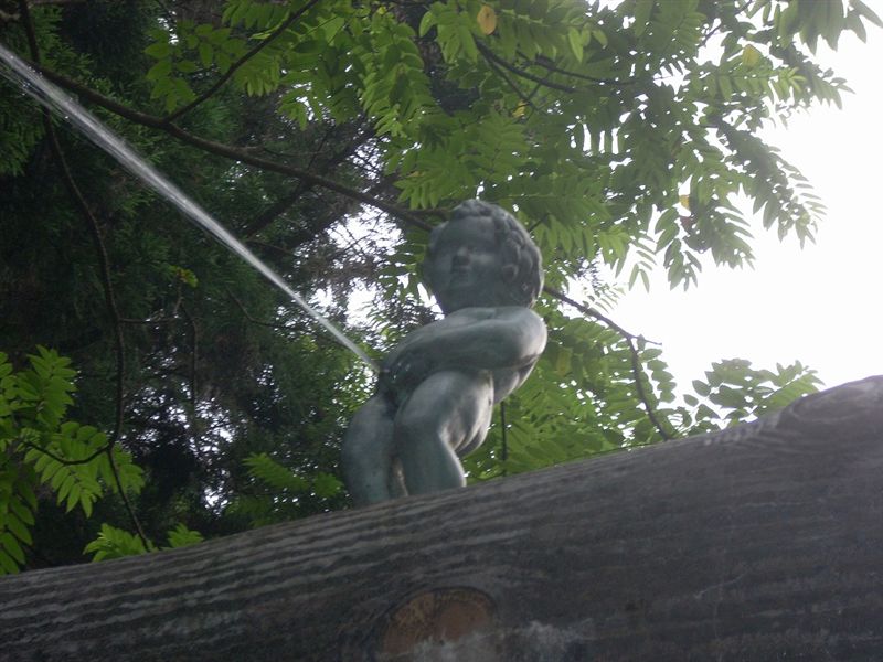 d0004717_758352.jpg