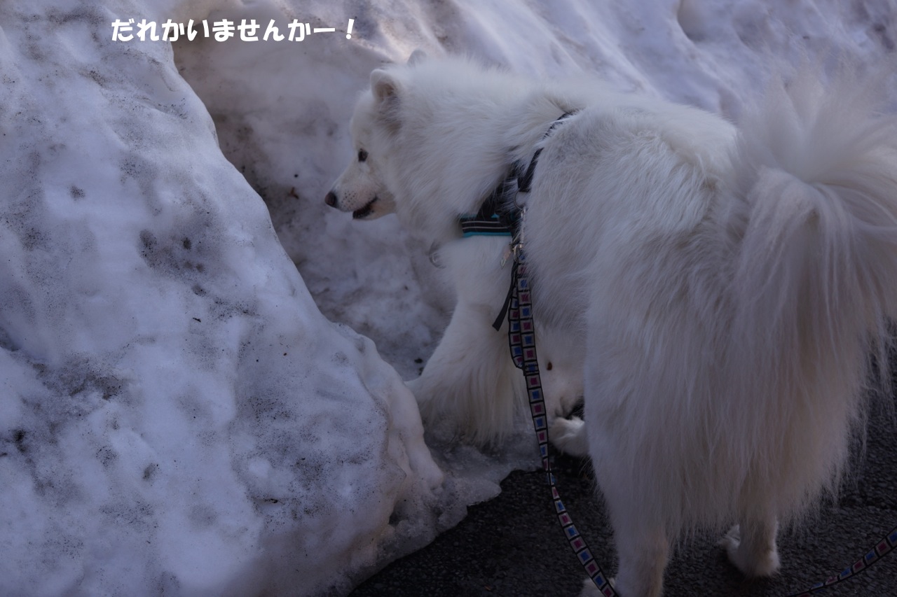 安心が一番♪_f0234023_23100178.jpg