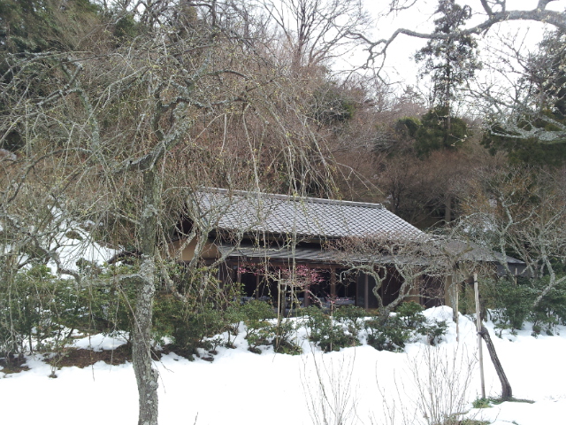 きもので散策~古都・鎌倉~_e0167832_2020385.jpg