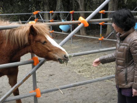 忘れないように　餌でつる　_c0229433_2119993.jpg