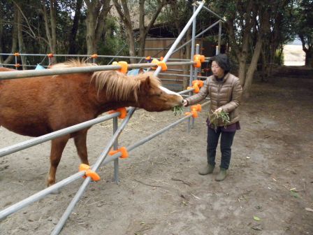 忘れないように　餌でつる　_c0229433_2182779.jpg