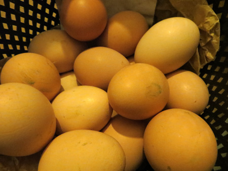 春近づけば_f0234936_734814.jpg