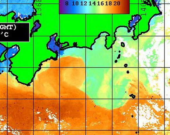 熊野灘から入ってきた潮に、カツオ? トンボ?【カジキ・マグロトローリング】_f0009039_16570421.jpg