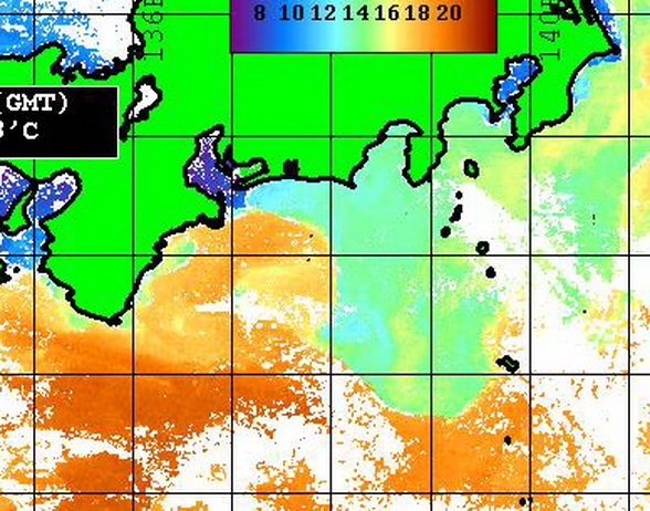 熊野灘から入ってきた潮に、カツオ? トンボ?【カジキ・マグロトローリング】_f0009039_16570811.jpg
