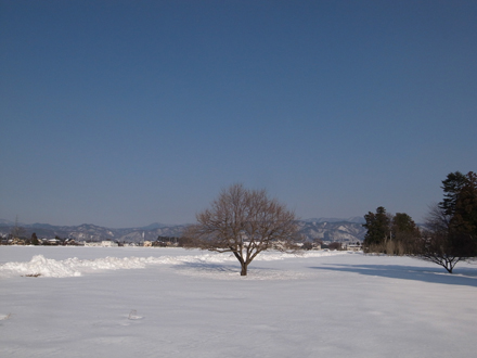 a0014840_18554712.jpg