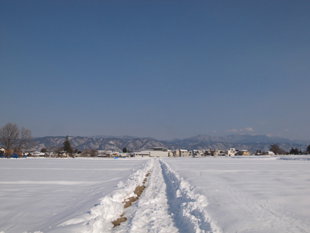 a0014840_1964815.jpg