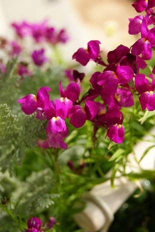 c0298740_1411028.jpg