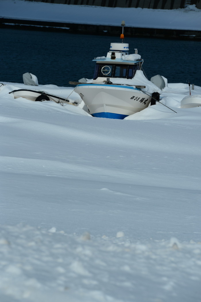 雪に沈む・・・冬眠中ですね。_f0194048_10335981.jpg