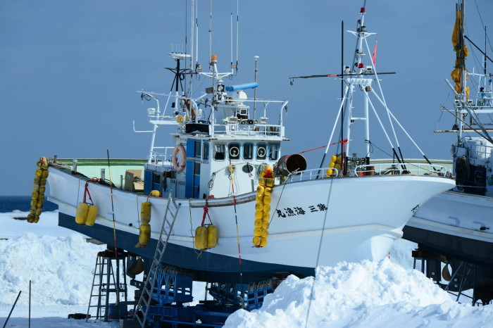 雪に沈む・・・冬眠中ですね。_f0194048_10340201.jpg