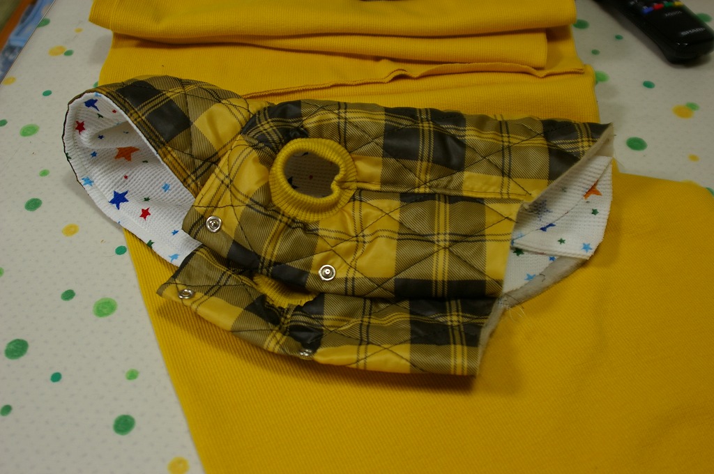 f0154751_20113516.jpg