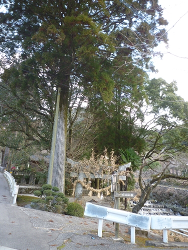 c0222861_15565467.jpg