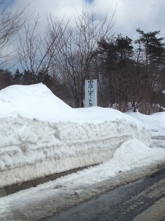 初！雪中キャンプ　中蒜山オートキャンプ場　2/22・23 _d0110262_953851.jpg