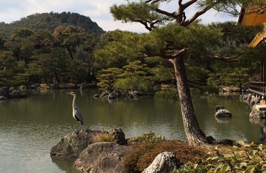 番外ブログ2014/2_f0072767_18214468.jpg
