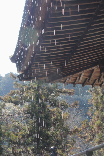 雪融けの石山寺_b0055171_14262050.jpg