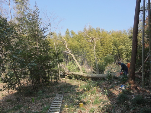 \"ソネ\"_c0111172_17575667.jpg