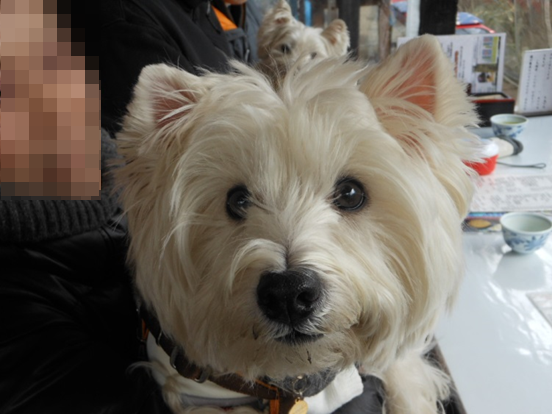 b0242873_23595341.png