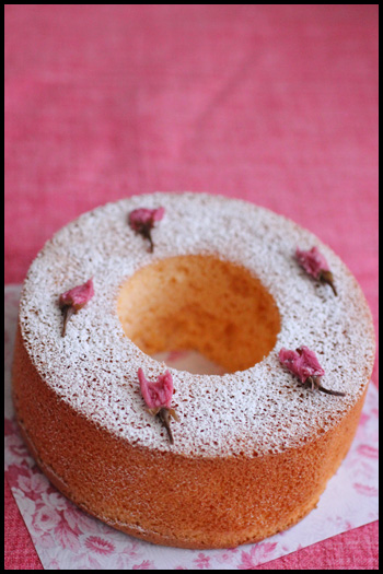 ひな祭りにも ホットケーキミックスで簡単 桜のシフォンケーキ ビジュアル系フード