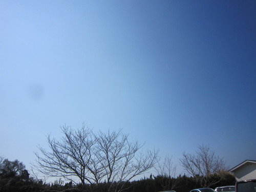 e0254678_1995150.jpg