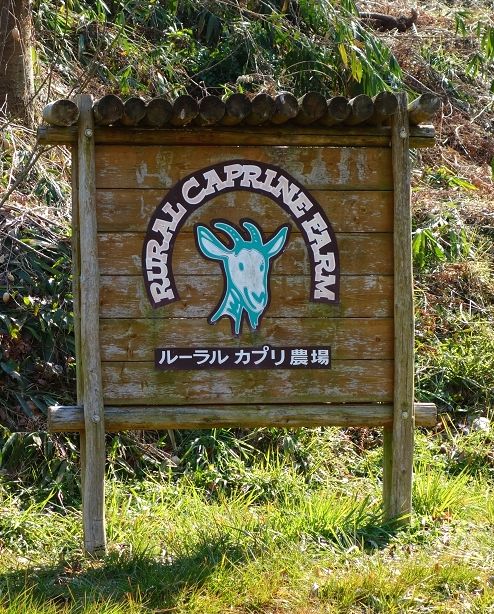 岡山・ルーラルカプリ農場さんへ_a0277483_21123021.jpg