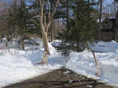 雪かきにお勧めな2つ!_d0133485_914474.jpg