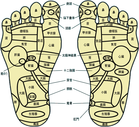 足つぼマッサージ体験_a0176188_13405353.gif
