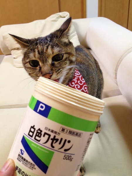 ここだけの話ですが・・・ Just between you and me..._a0126590_22542946.jpg