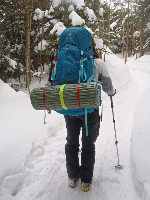 Gearインプレッション(アーク アルトラ編)_c0147398_18144030.jpg