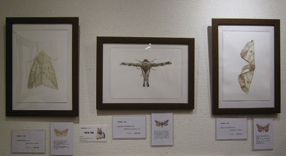 たまごの工房企画展 第4回 - mozo mozo - 虫・蟲 展 その8_e0134502_13193516.jpg