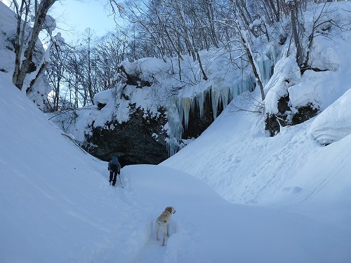 雪焼け、ヤバイ_f0082103_13193313.jpg