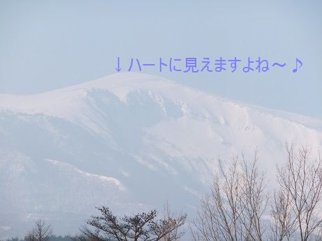 f0179203_184048.jpg