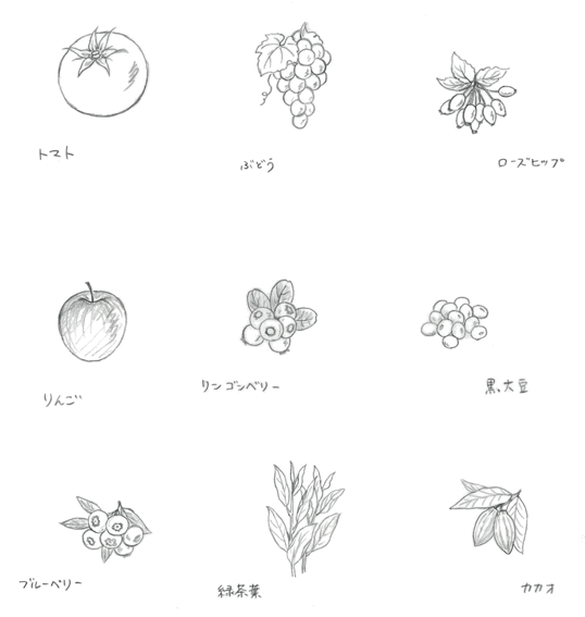 Asahi Dear Natura パッケージイラスト 2 イラストレーター 川副美紀 Miki Kawazoe Illustrations Watercolor Colored Pencil