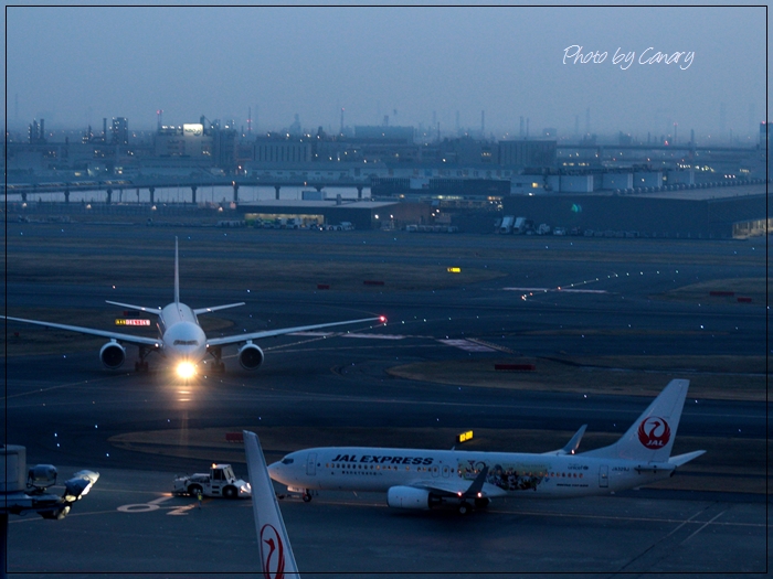 春霞のダイヤモンド富士　羽田空港　（２/２６撮影）　in   Tokyo_d0129921_21394592.jpg