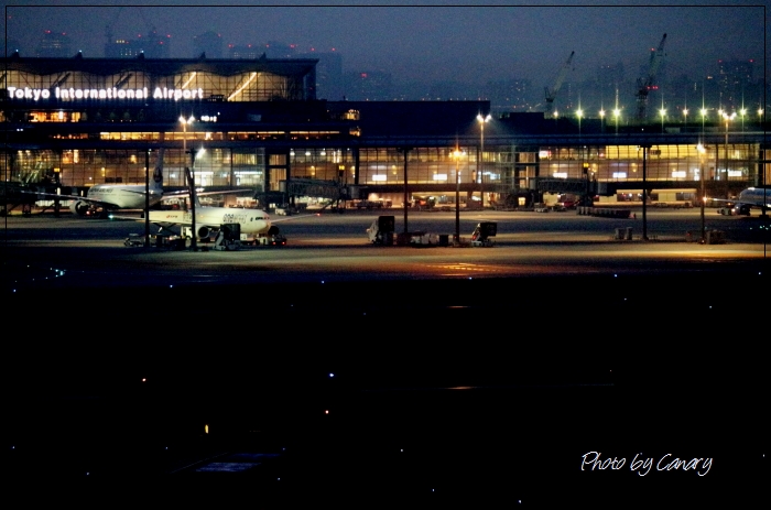 春霞のダイヤモンド富士　羽田空港　（２/２６撮影）　in   Tokyo_d0129921_2140087.jpg