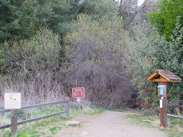 Palomar MountainのハイキングⅡ　　　　　Weir - Lower Doane - Coane Valley Nature Trail_f0308721_16475296.jpg