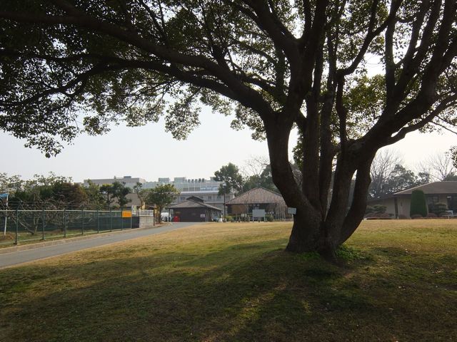 292　　いなみの学園　　2/26 Wed_a0188023_711438.jpg