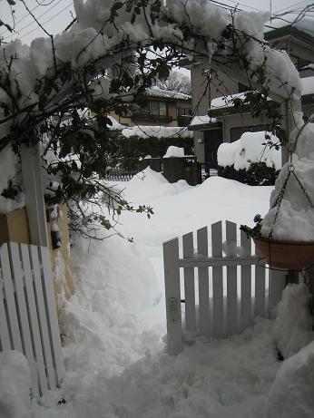f0166824_20525745.jpg