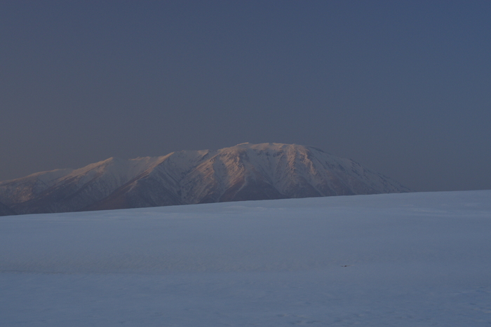 c0077847_2158476.jpg