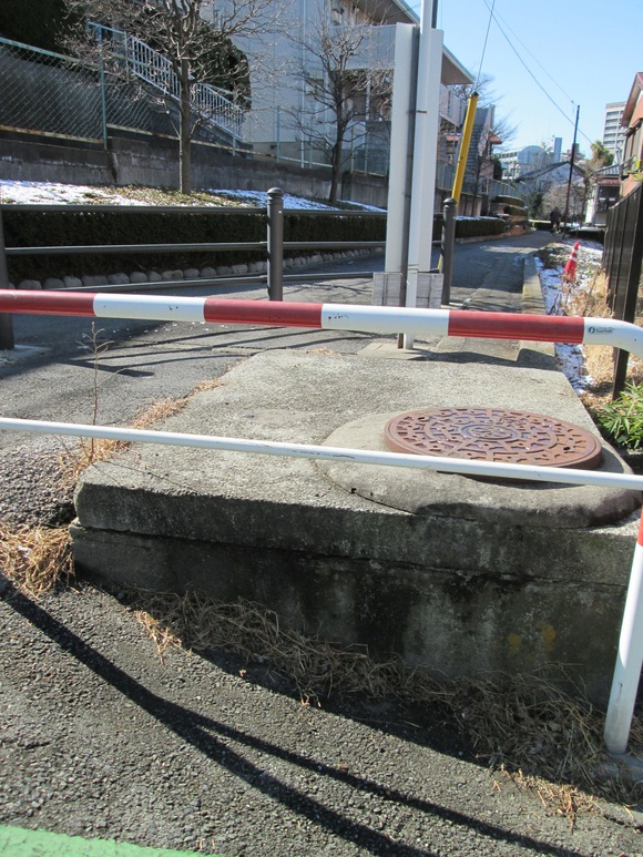 慶応志木高校北側から始まる野火止用水分流（浜崎流末）の蓋暗渠（ヒューム管露出地点有）_d0250051_1603536.jpg