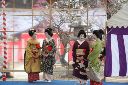 北野天満宮 梅花祭 ブログで観梅 茶の湯 好楽軒 北野天満宮 梅花祭 ブログで観梅 茶の湯 好楽軒
