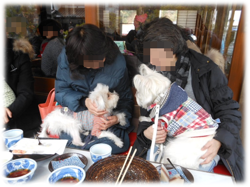 b0242873_02013625.png