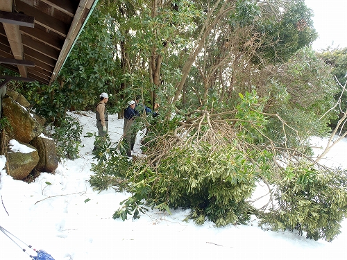 ★大雪の翌日・・・ひがた・たんぼ倶楽部の報告(2014.2.15)_e0046474_1521482.jpg