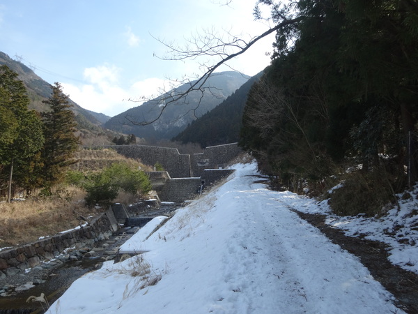 c0066176_00175.jpg