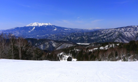 ２月２６日、　　「夕刊」　　ベティーのシャンプー_a0130586_1913689.jpg